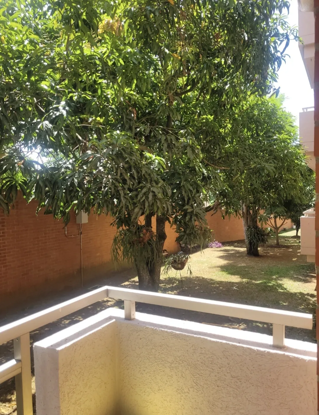 Multifamily en Venta en San Pedro, Cali, 180,0 m² (foto 4) — CREBI