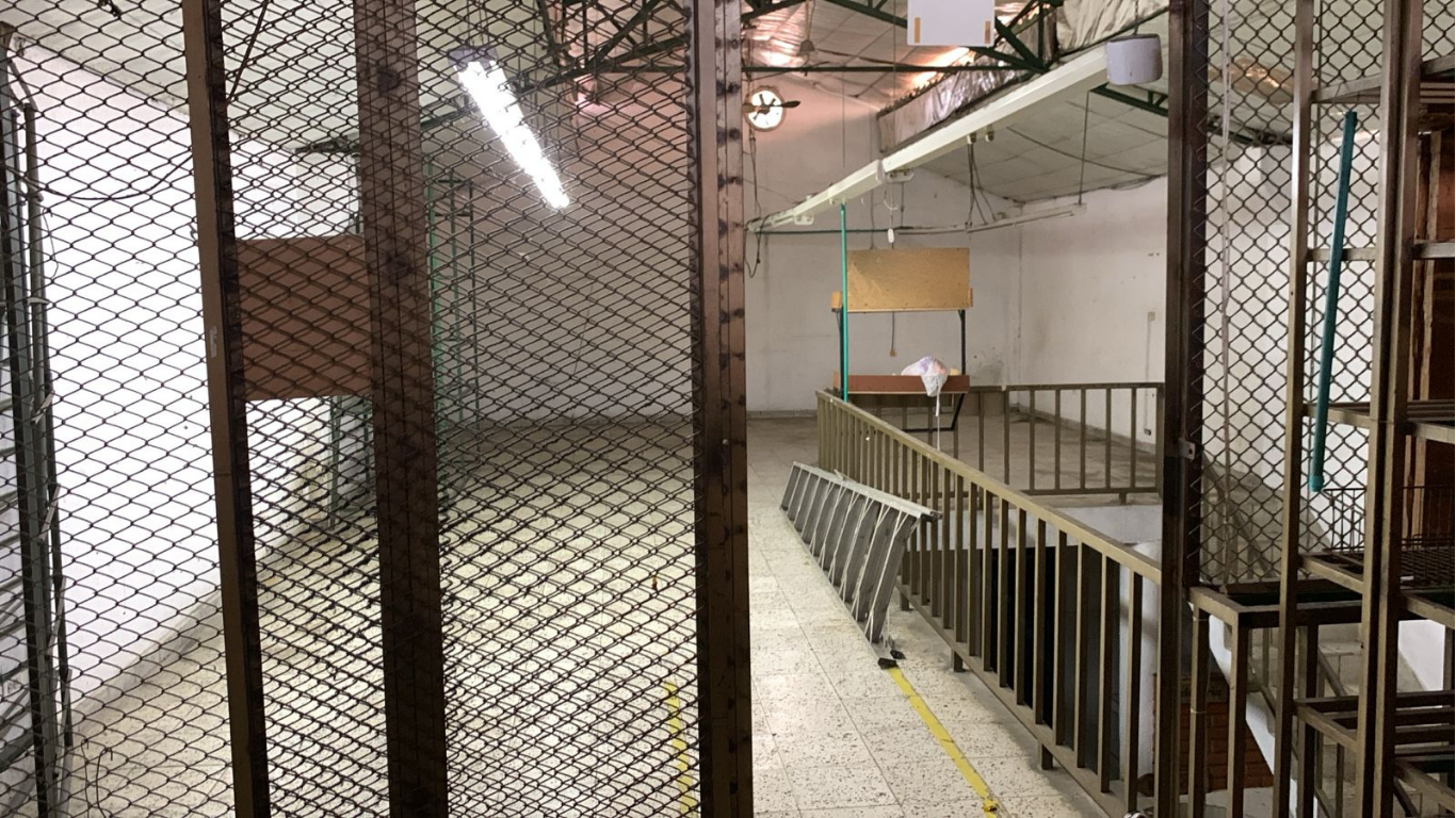 Bodega en Arriendo - Atanasio Girardot, Calle 33H, 366,61 m² (foto 4) — CREBI