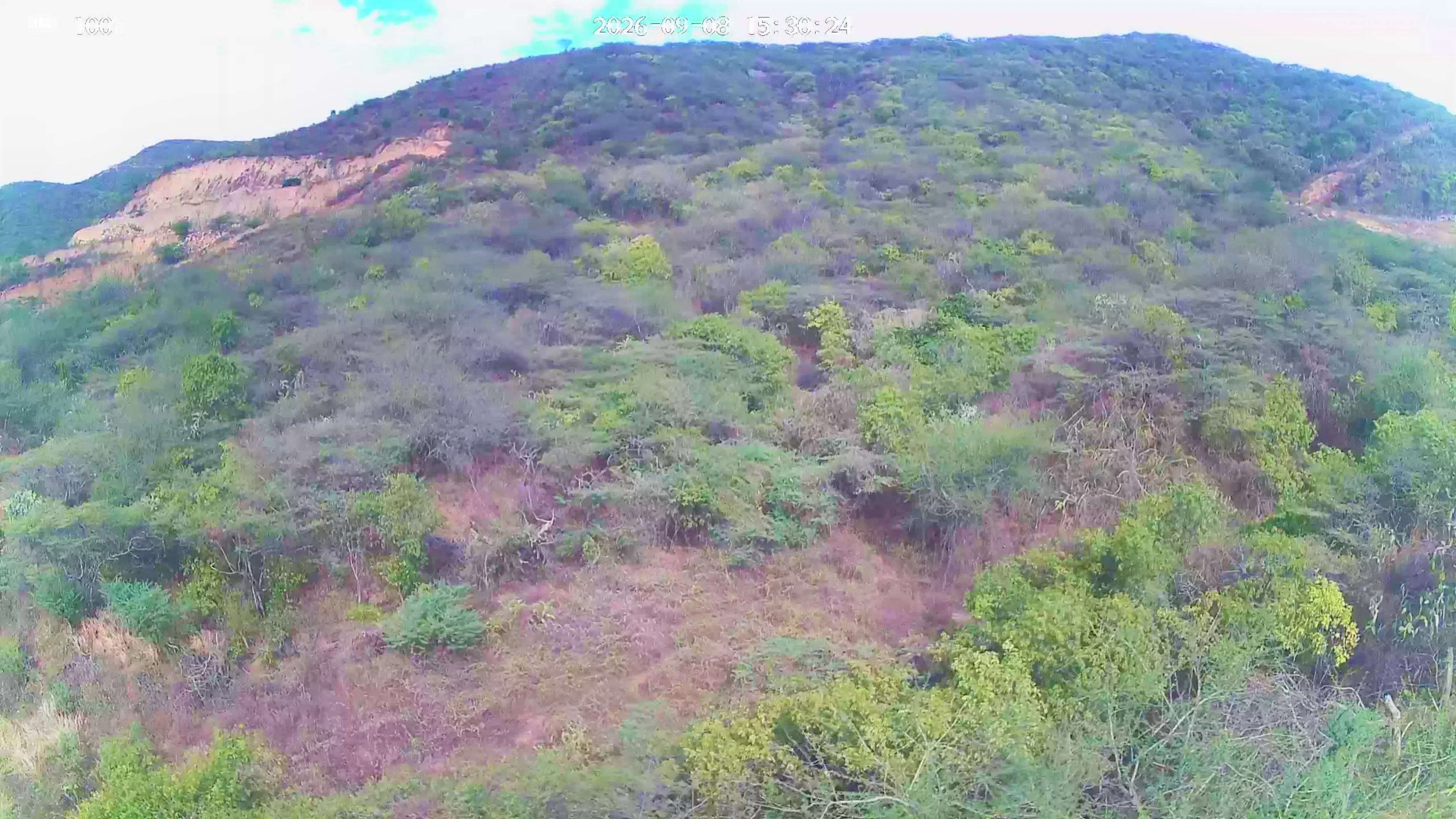 Lote en Venta en Chaparral, Los Patios, 1,0 m² (foto 6) — CREBI