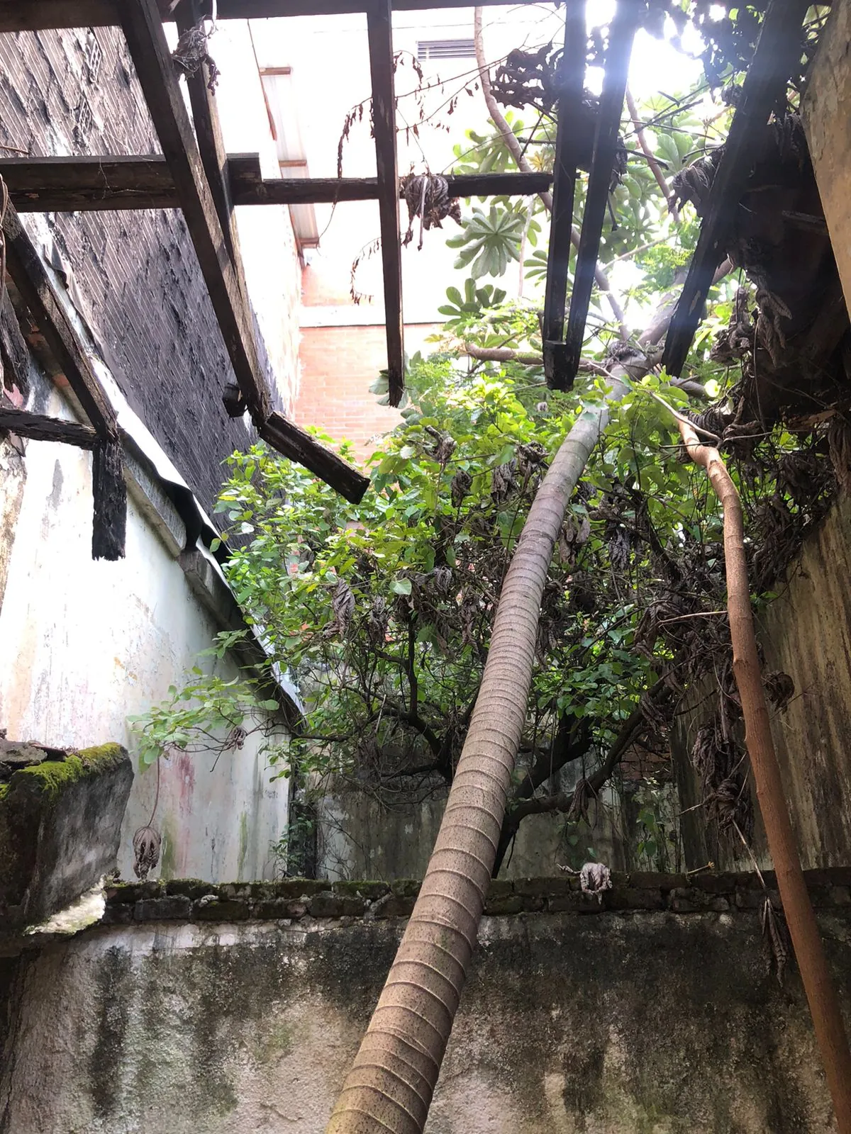 Lote en Venta - Cali, Viejo San Fernando Carrera 35, 266,0 m² (foto 4) — CREBI