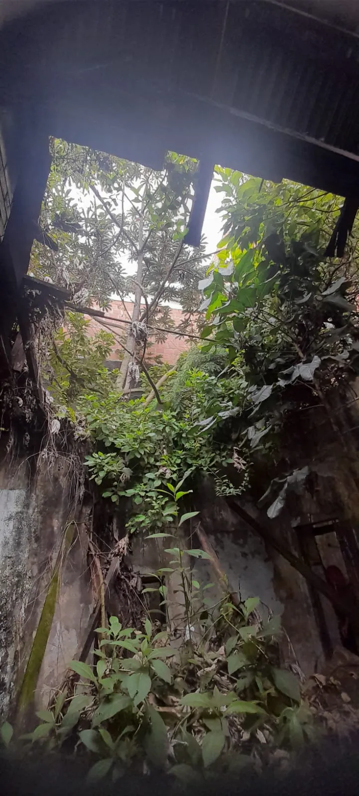 Lote en Venta - Cali, Viejo San Fernando Carrera 35, 266,0 m² (foto 9) — CREBI