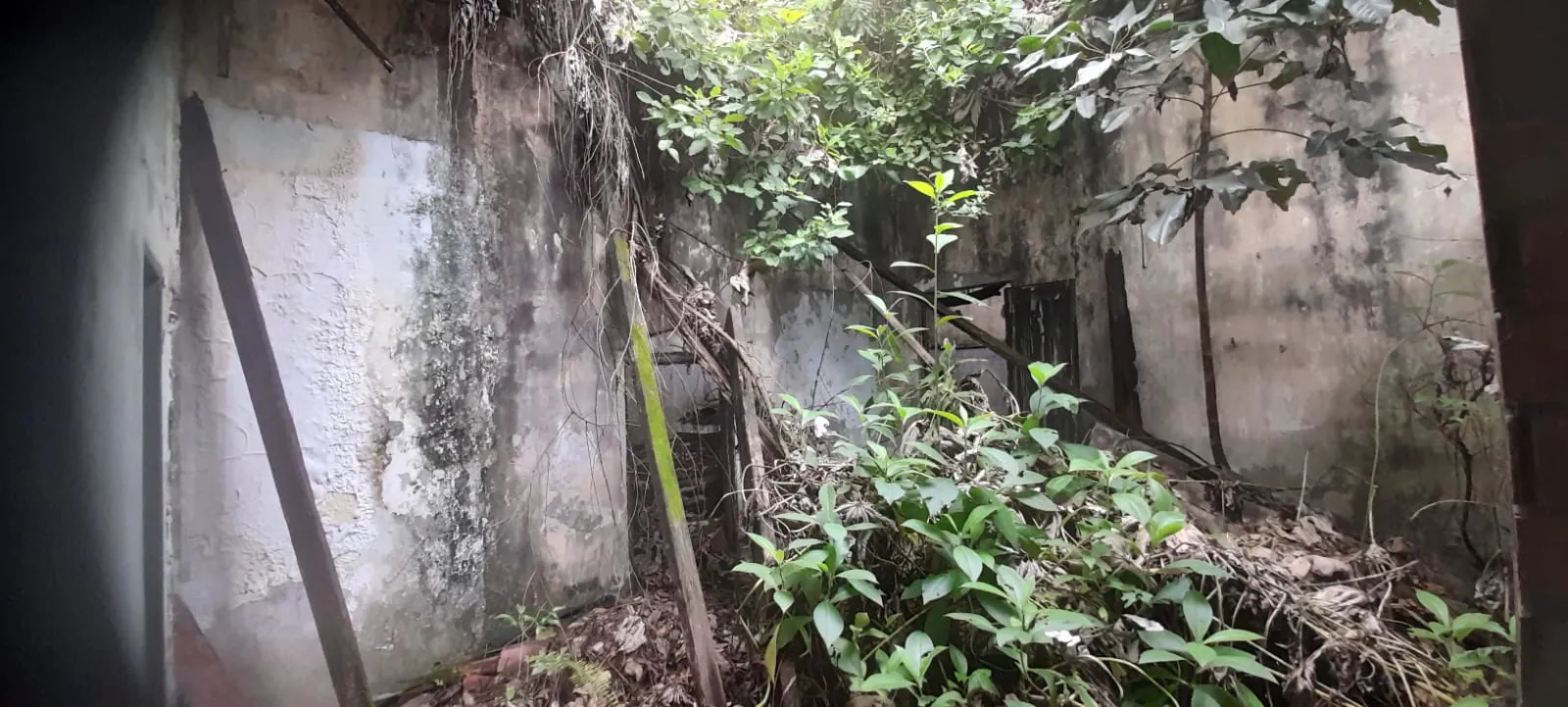 Lote en Venta - Cali, Viejo San Fernando Carrera 35, 266,0 m² (foto 5) — CREBI