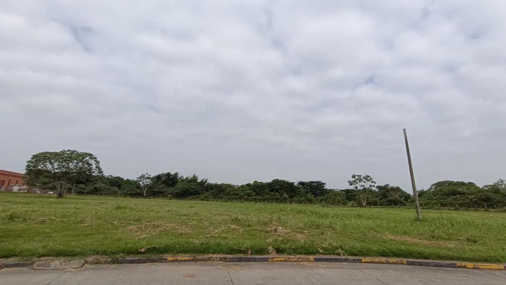 Lote en Venta - Villa Rica, El Terronal Carrera 11, 22984,0 m² (foto 5) — CREBI