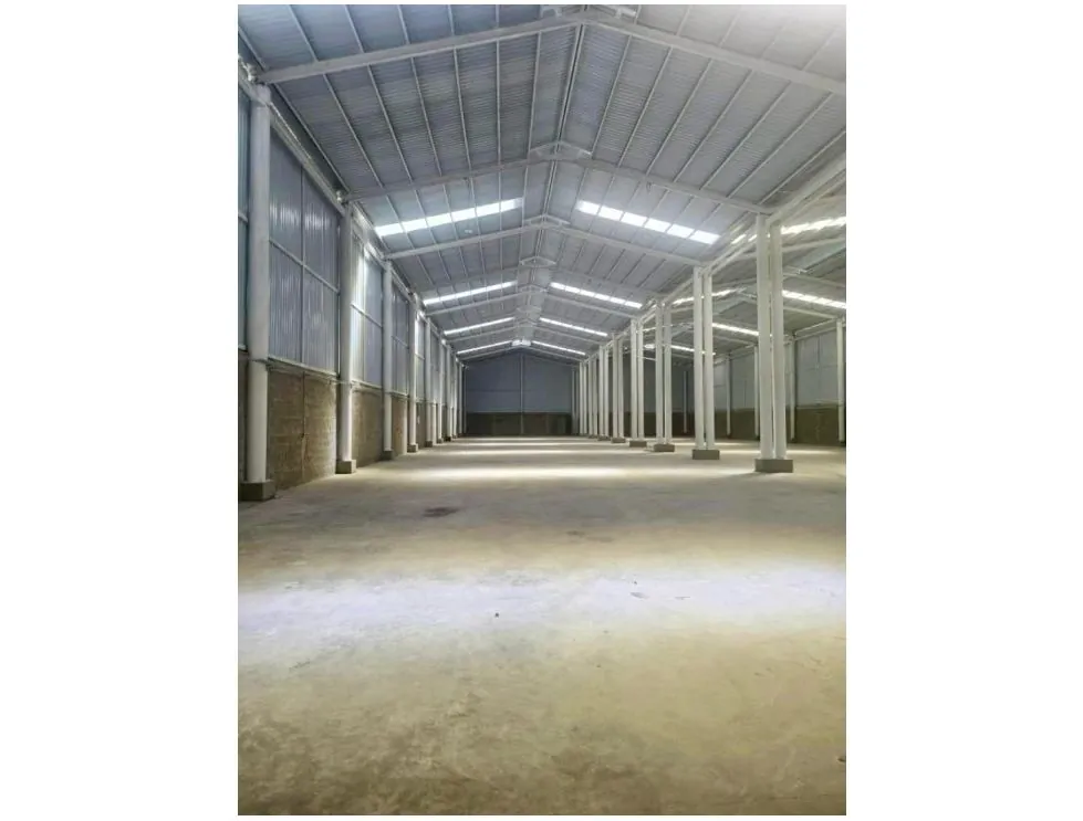 Bodega en Arriendo - Palmira, 2000,0 m² (foto 5) — CREBI