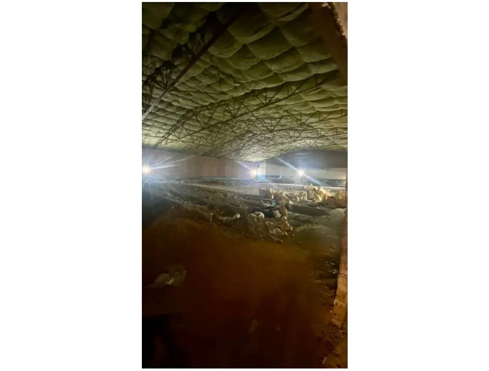 Bodega en Venta - Cali, El Gran Limonar Calle 5, 1861,0 m² (foto 8) — CREBI