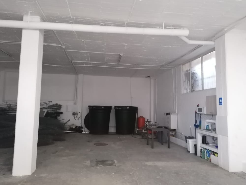 Bodega en Venta - La Badea, Dosquebradas, 310,002 m² (foto 7) — CREBI