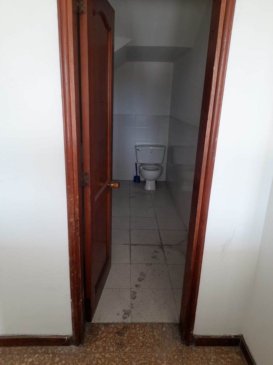 Edificio en Arriendo - Centro, Pereira, 600,002 m² (foto 11) — CREBI