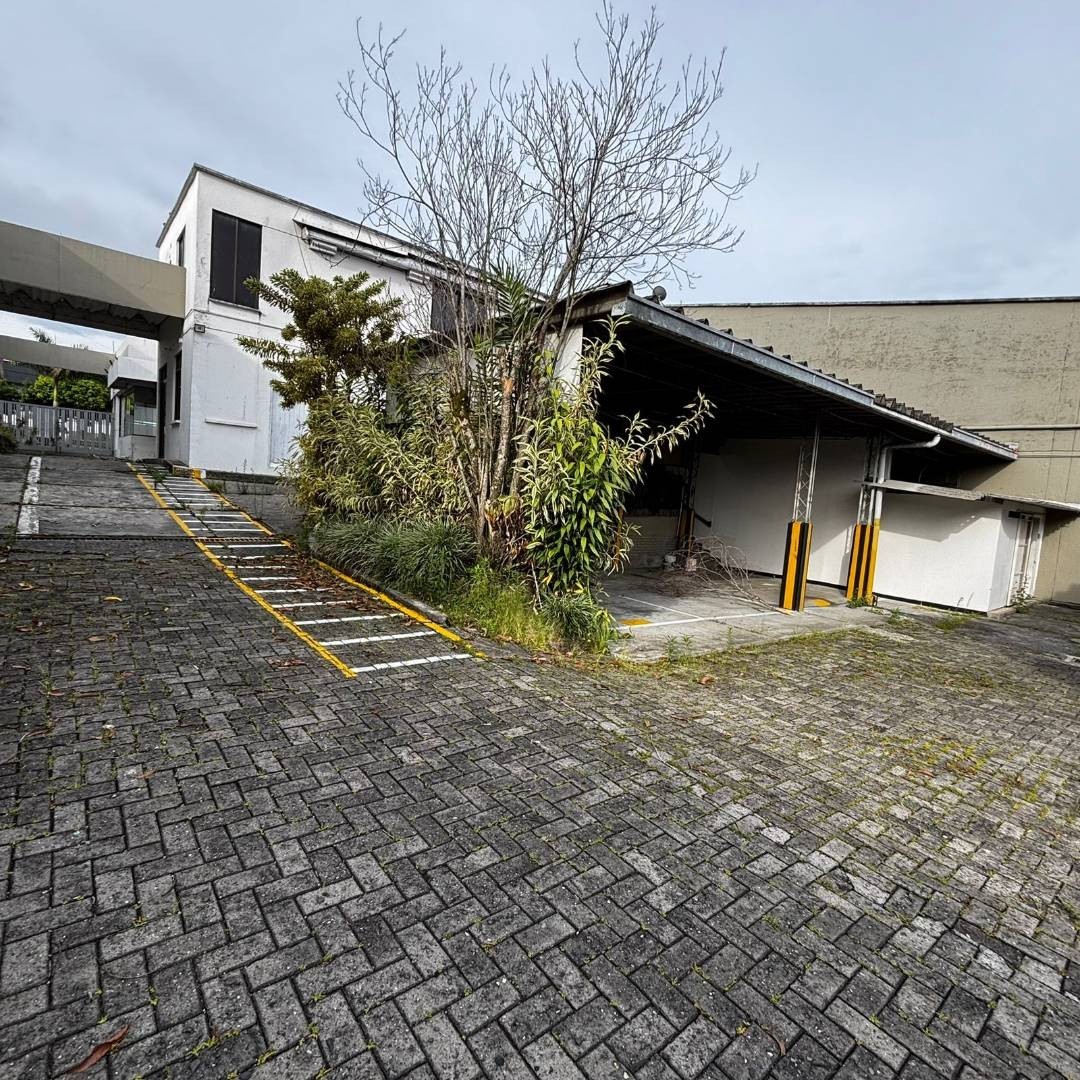 Local en Arriendo - Av 30 De Agosto, Pereira, 1571,002 m² (foto 10) — CREBI