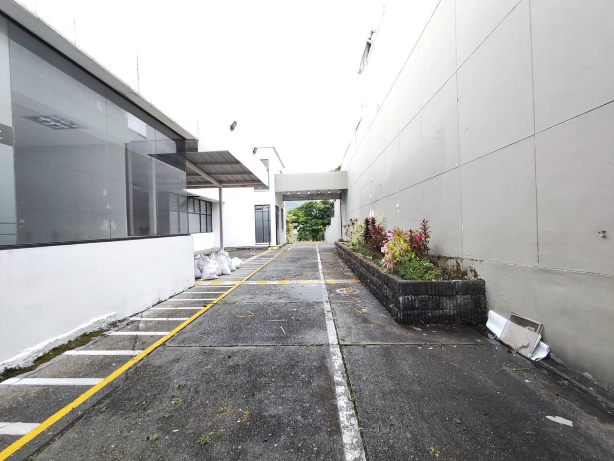 Local en Arriendo - Av 30 De Agosto, Pereira, 1571,002 m² (foto 5) — CREBI