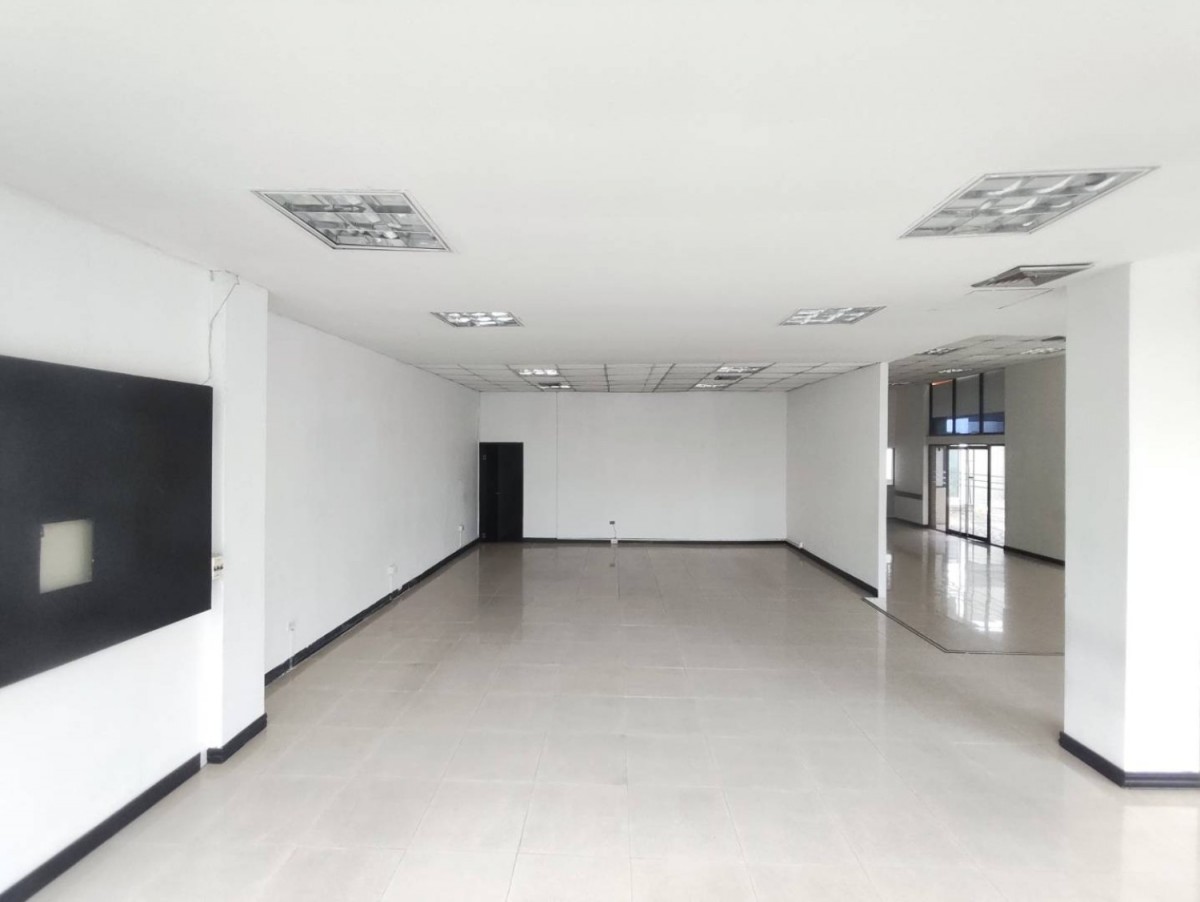 Local en Arriendo - Av 30 De Agosto, Pereira, 1571,002 m² (foto 7) — CREBI