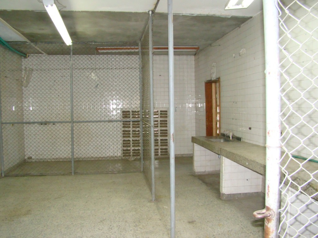 Local en Arriendo - Centro, Pereira, 1692,002 m² (foto 14) — CREBI