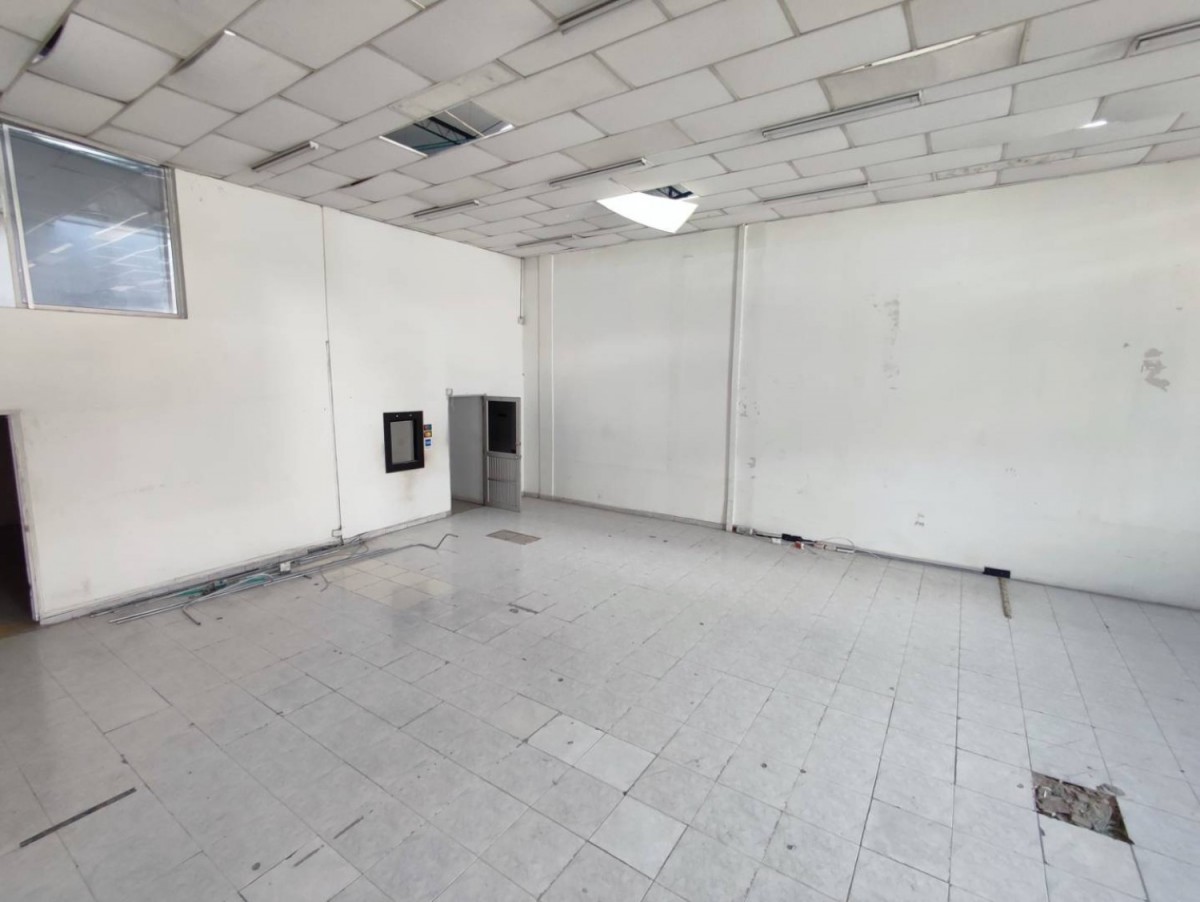 Local en Arriendo - Centro, Pereira, 229,002 m² (foto 14) — CREBI