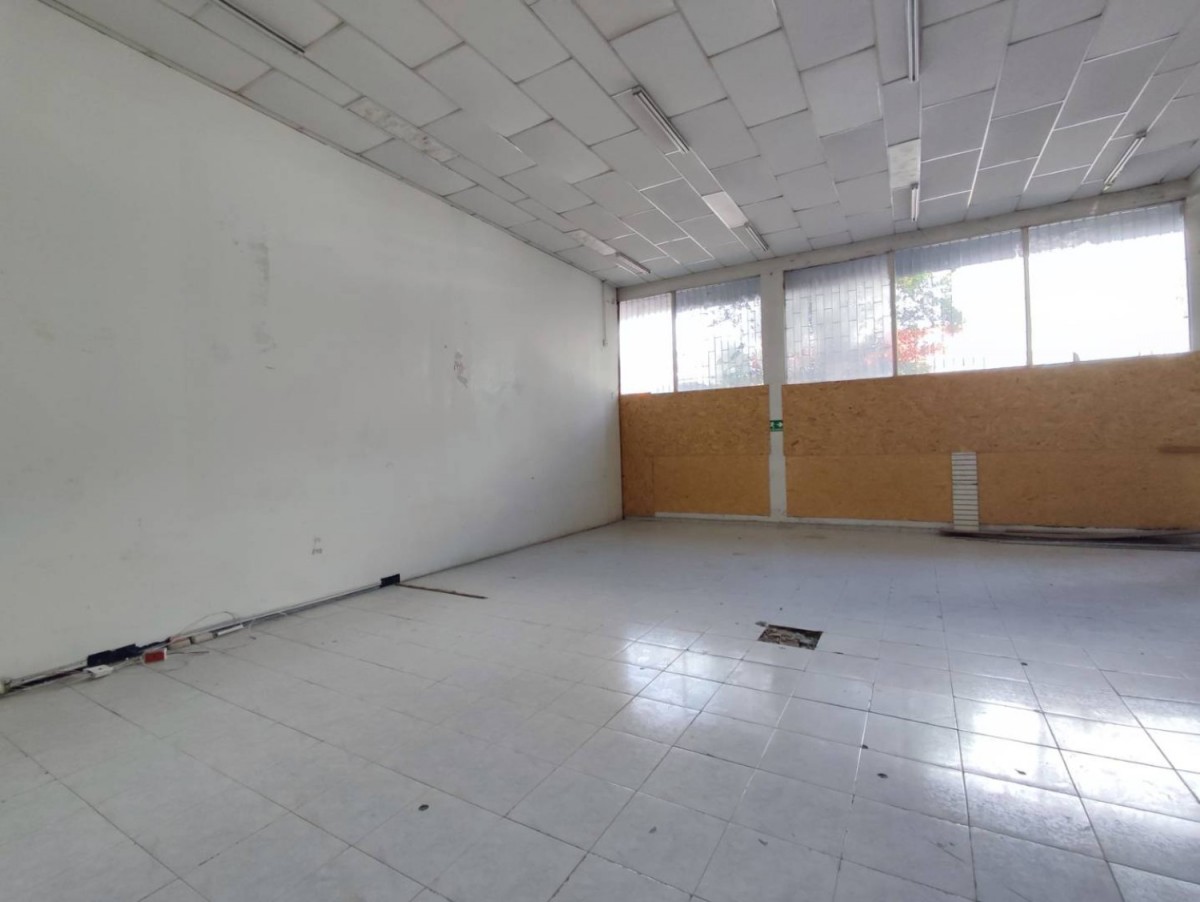 Local en Arriendo - Centro, Pereira, 229,002 m² (foto 5) — CREBI