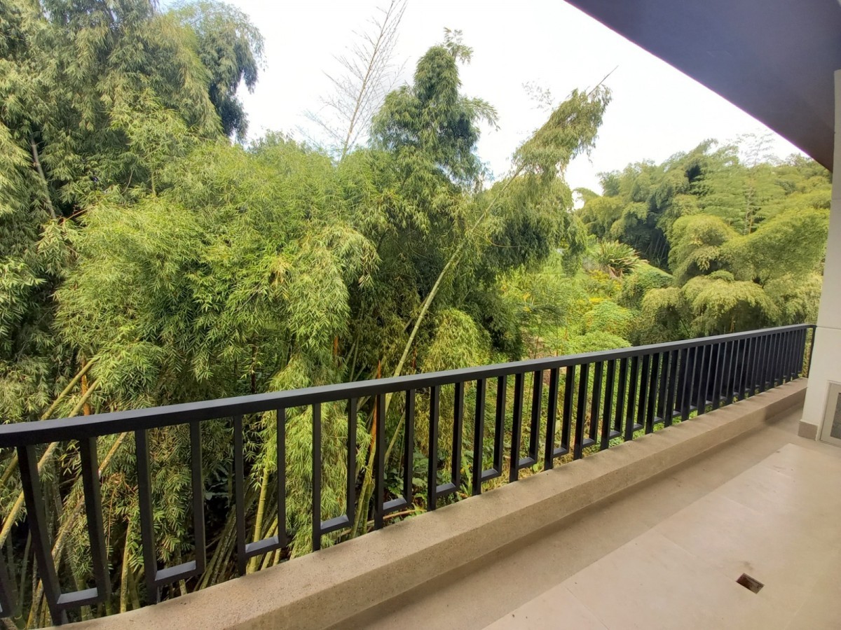 Local en Arriendo - Pueblito Cafetero, Pereira, 22,002 m² (foto 8) — CREBI