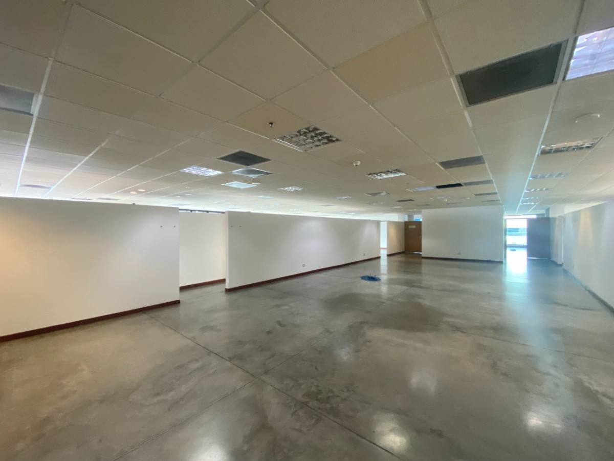 Oficina  en Arriendo - Centro, Pereira, 274,002 m² (foto 4) — CREBI