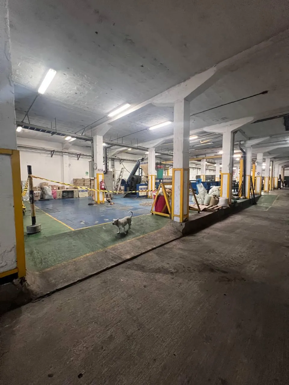 Bodega en Venta - Cali, San Nicolas Carrera 6, 1,212 m² (foto 3) — CREBI