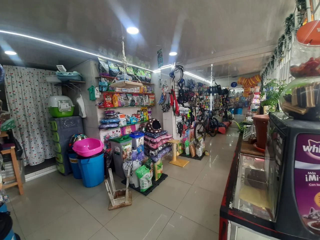 Local en Venta en Madelena, Bogotá ciudad, 50,0 m² (foto 4) — CREBI