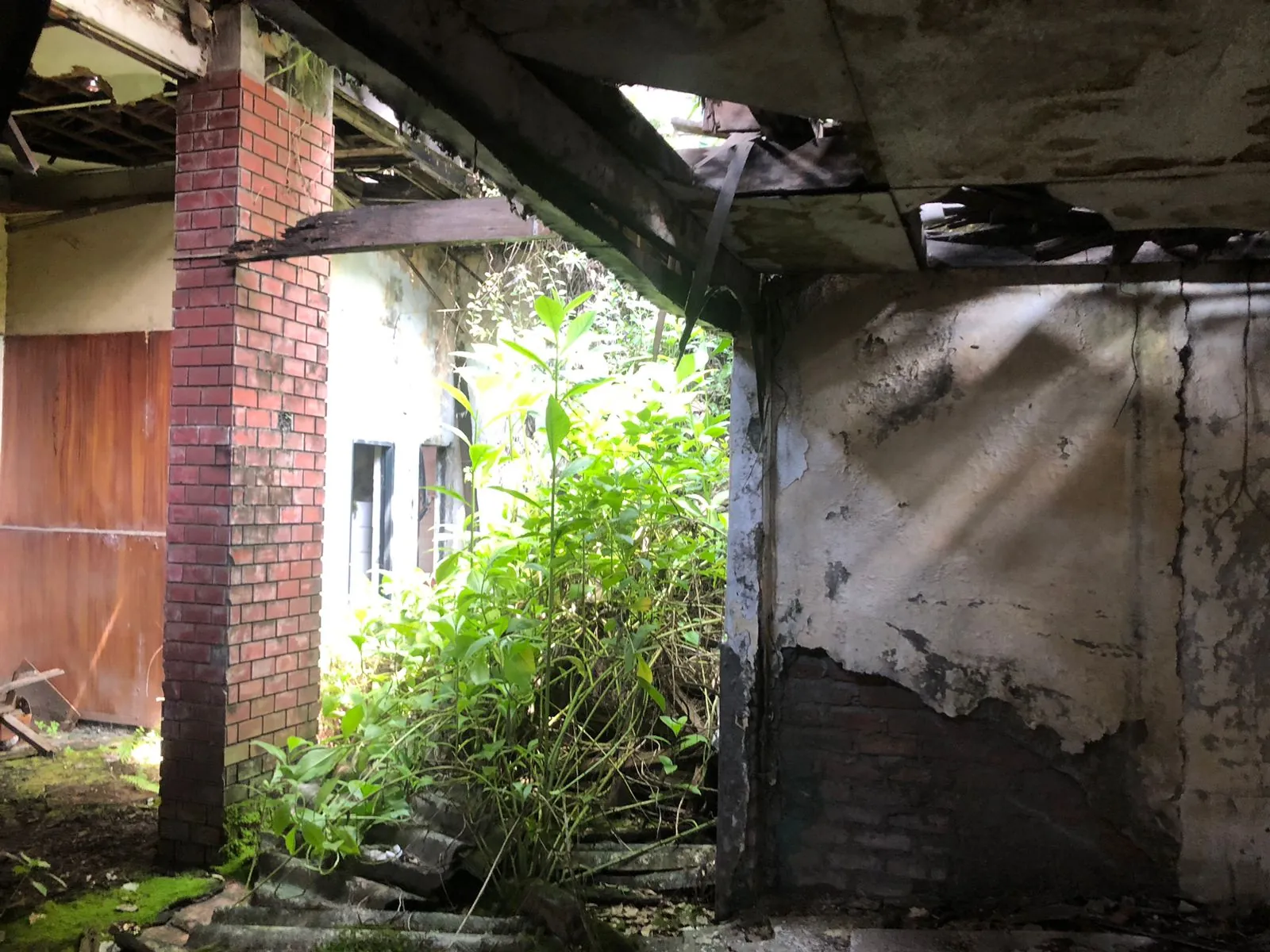 Lote en Venta - Cali, Viejo San Fernando Carrera 35, 266,0 m² (foto 10) — CREBI