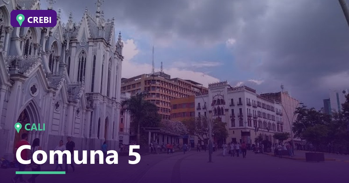 Guía comercial de la Comuna 5 de Cali: Oportunidades y análisis para empresarios 2026