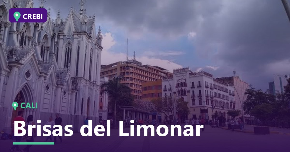 Guía comercial del barrio Brisas del Limonar, Cali: Oportunidades y rentabilidad
