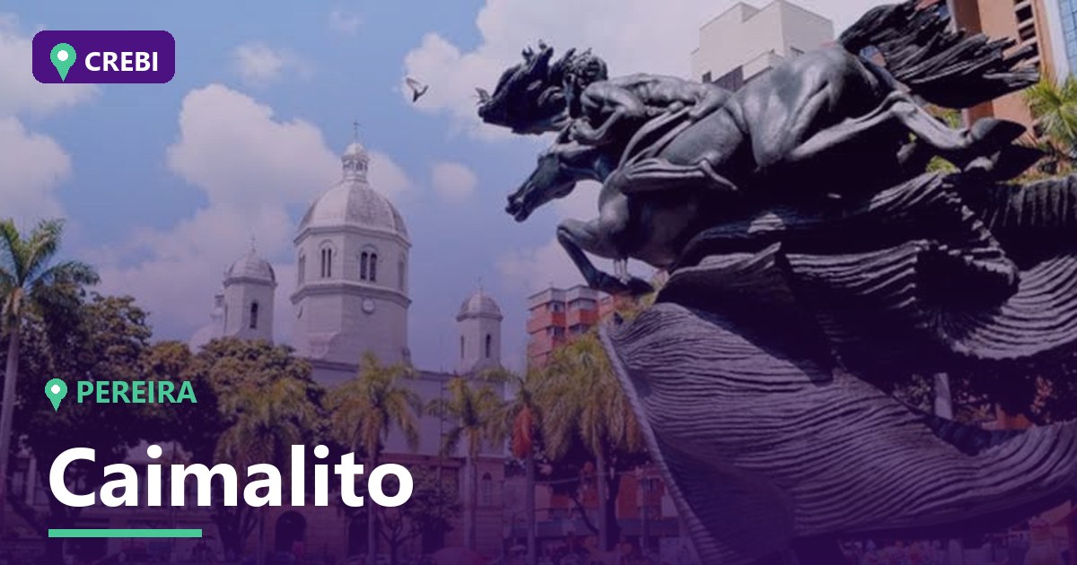 Guía Comercial del Barrio Caimalito, Pereira: Oportunidades de Inversión en 2026