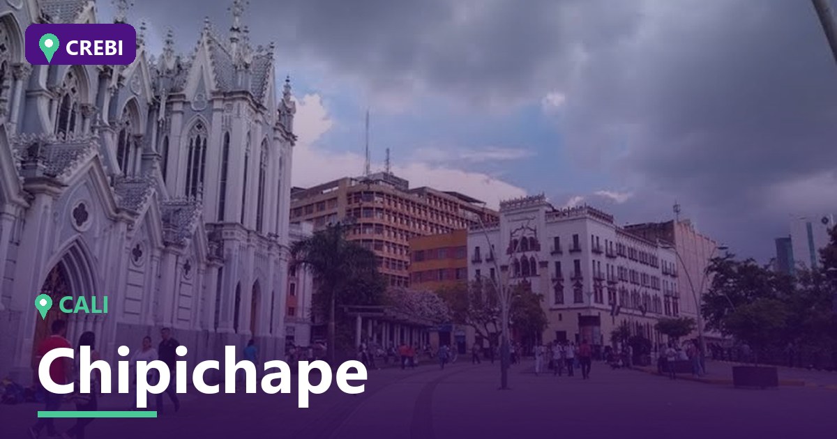 Guía Comercial del Barrio Chipichape, Cali: Análisis y Oportunidades 2026