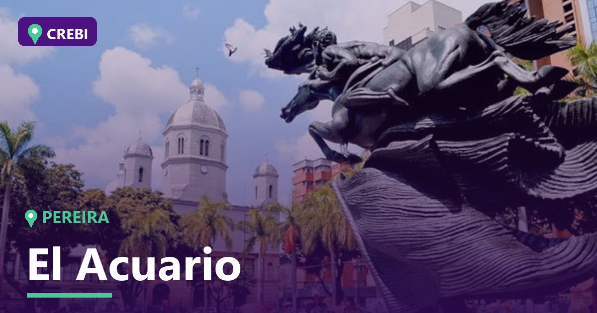Guía Comercial del Barrio El Acuario, Pereira: Oportunidades y Rentabilidad para Inversores 2026