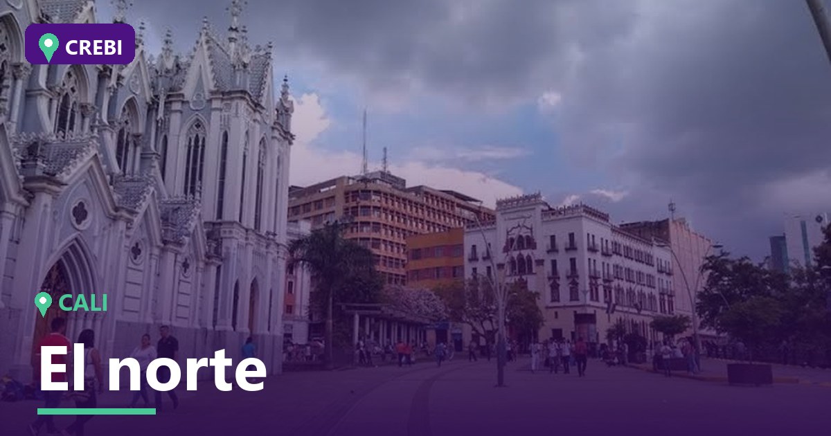 Guía Comercial del Barrio El Norte, Cali: Oportunidades y Rentabilidad 2026