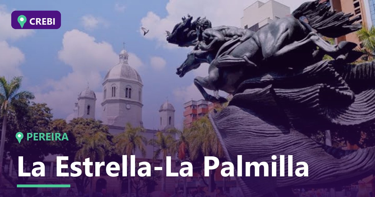 Guía Comercial del Barrio La Estrella-La Palmilla, Pereira: Oportunidades y Análisis 2026