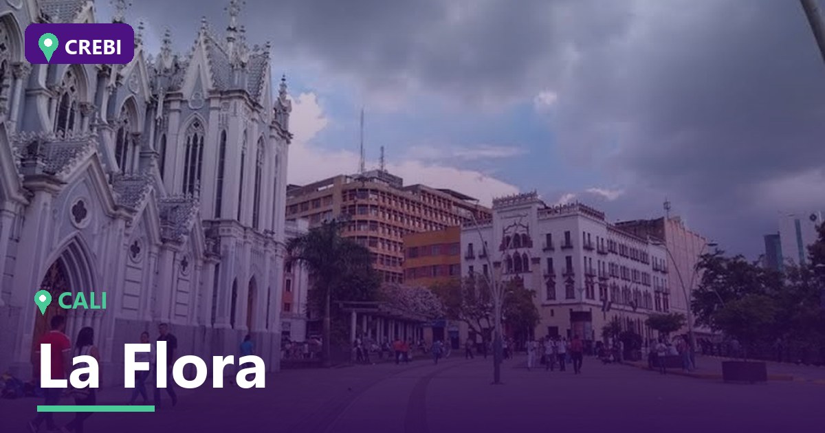 Guía Comercial del Barrio La Flora, Cali: Oportunidades y Rentabilidad