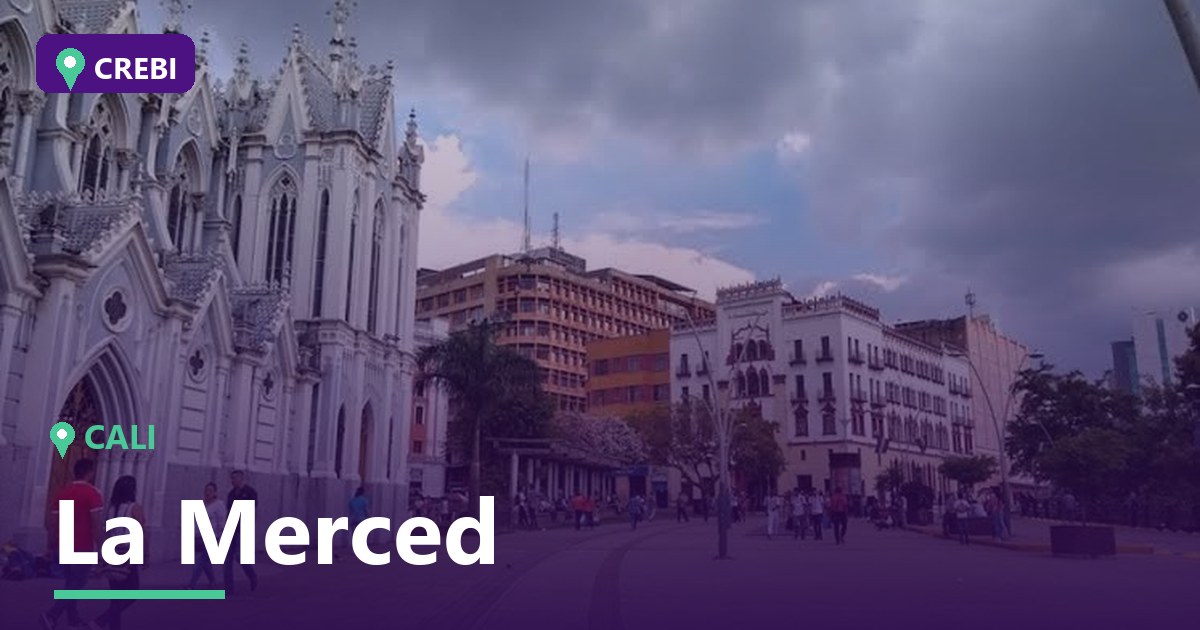 Guía comercial del barrio La Merced, Cali: Oportunidades y análisis 2024