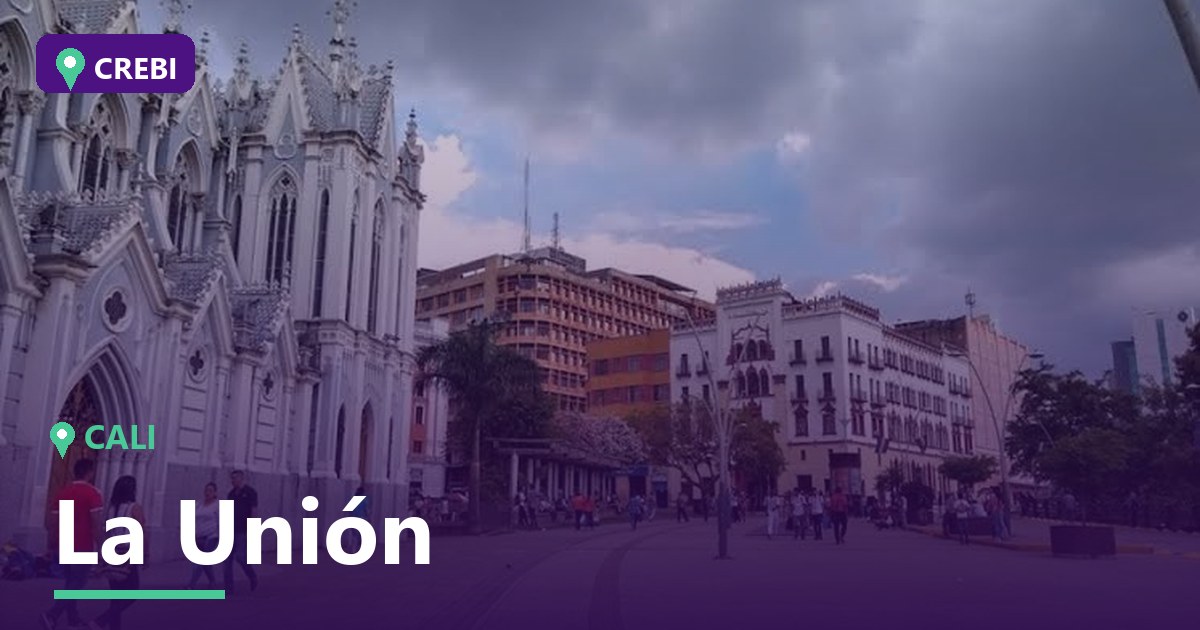 Guía Comercial del Barrio La Unión, Cali: Oportunidades y Análisis 2026