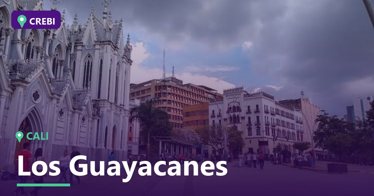 Guía Comercial del Barrio Los Guayacanes, Cali: Oportunidades y Rentabilidad en 2026