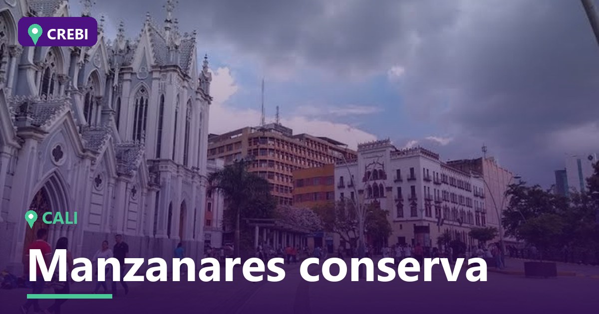 Guía comercial del barrio Manzanares conserva, Cali: Oportunidades de inversión 2026