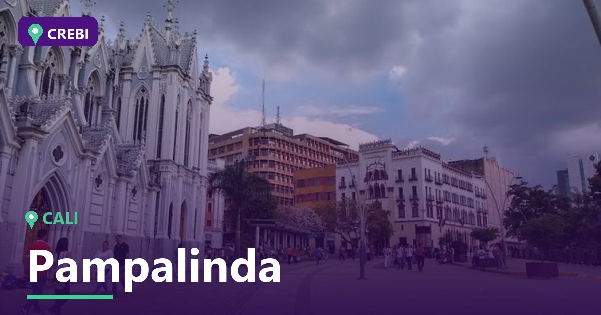 Guía comercial del barrio Pampalinda, Cali: Oportunidades y análisis de inversión