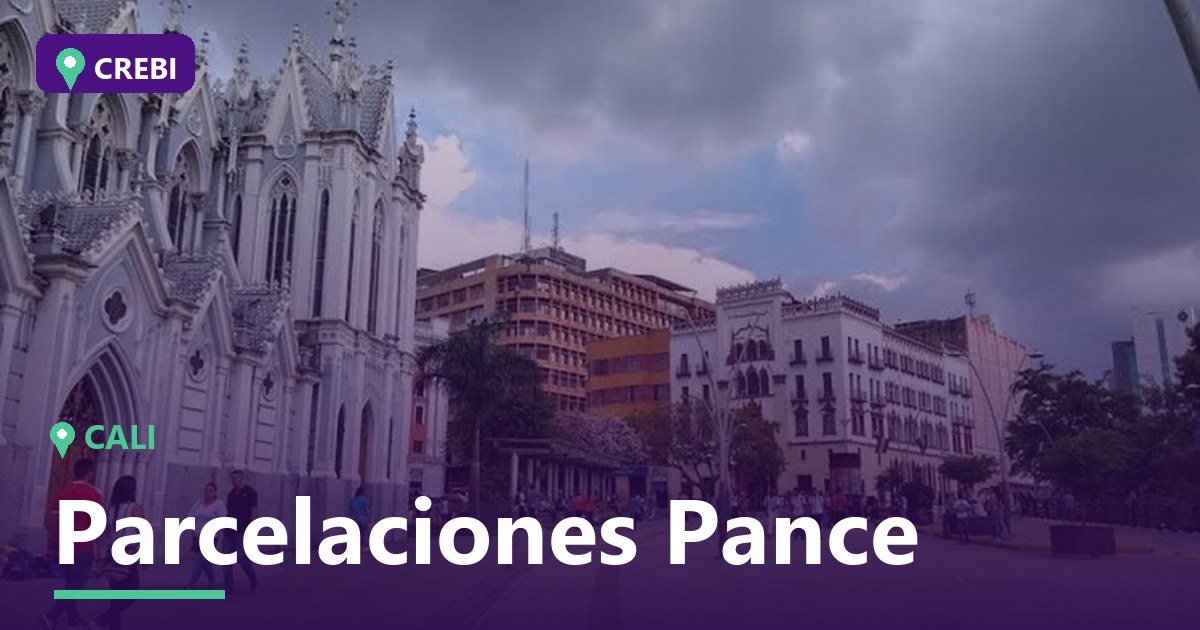 Guía Comercial del Barrio Parcelaciones Pance, Cali: Inversiones y Oportunidades 2026