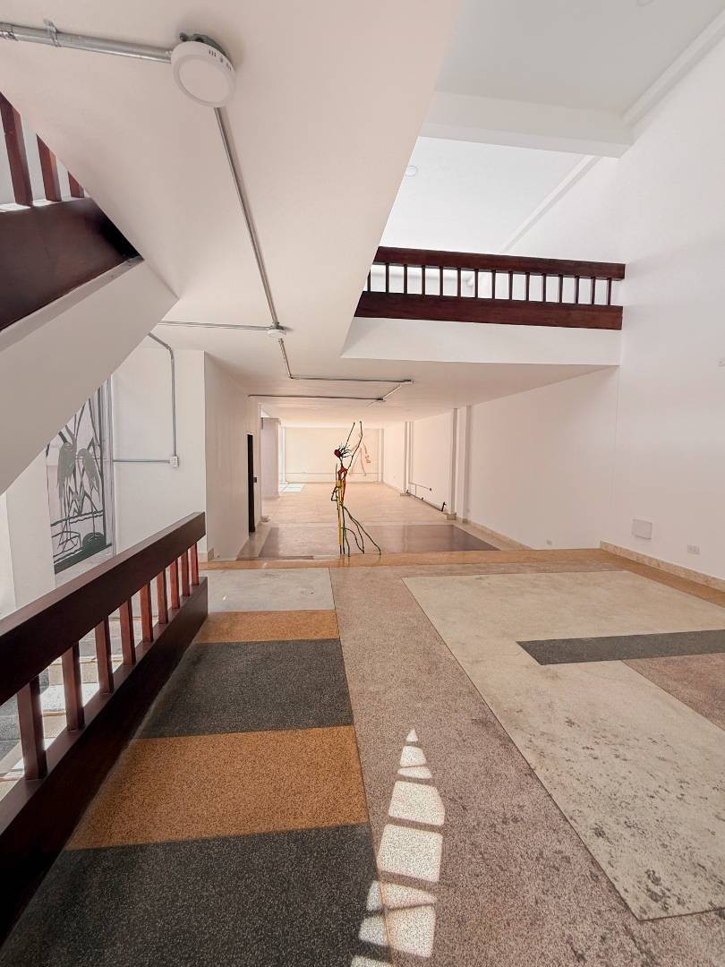Local en Arriendo - San Jose, Calle 12, 379,0 m² (foto 6) — CREBI