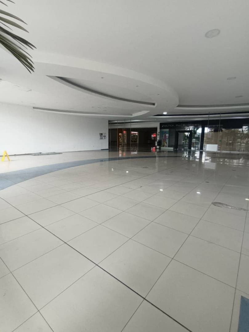 Local en Arriendo - Popular Modelo, Calle 1A E, 214,58 m² (foto 6) — CREBI