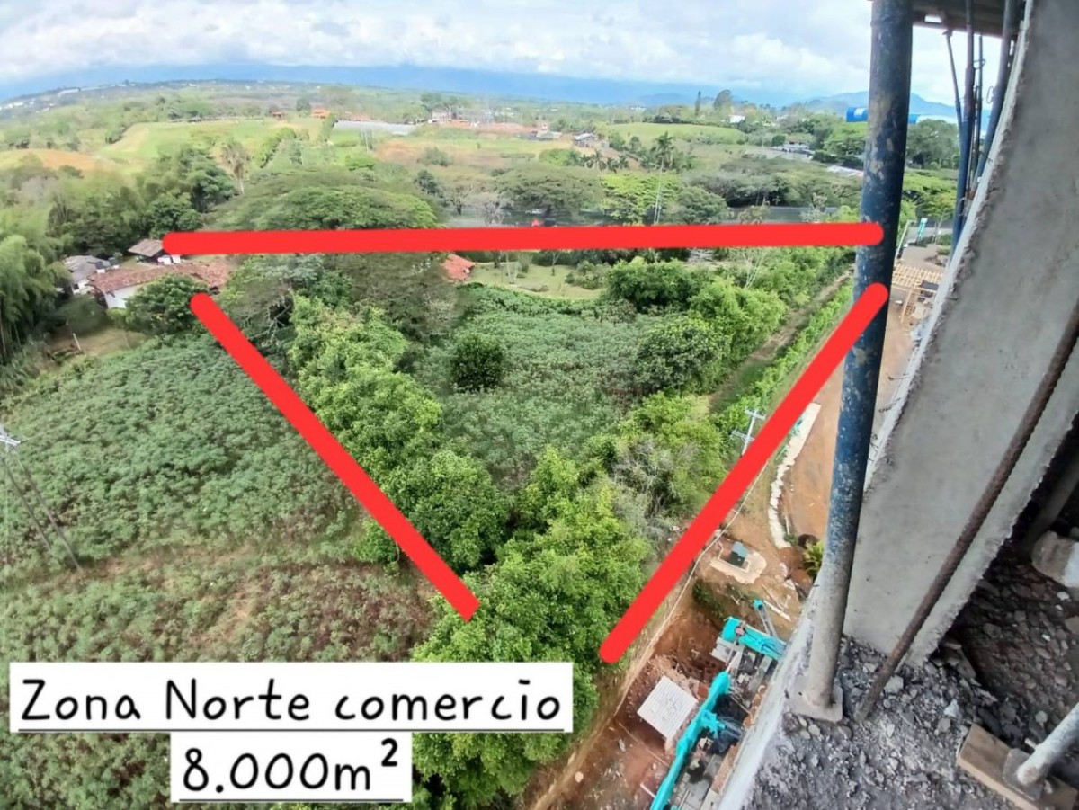 Lote en Venta - Via acceso Ambulancias, 35000,0 m² (foto 4) — CREBI