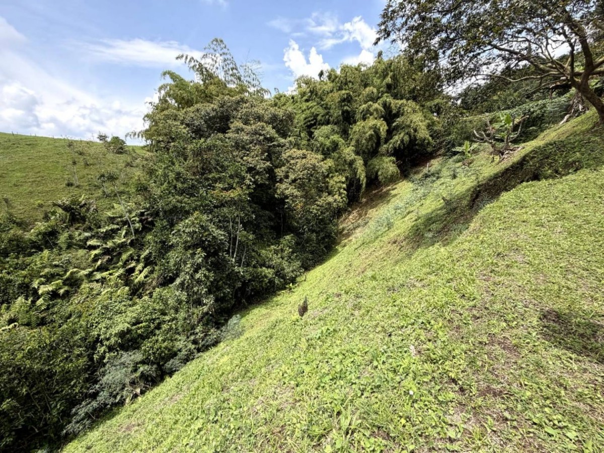 Lote en Venta - Vereda Condina, 6640,0 m² — CREBI
