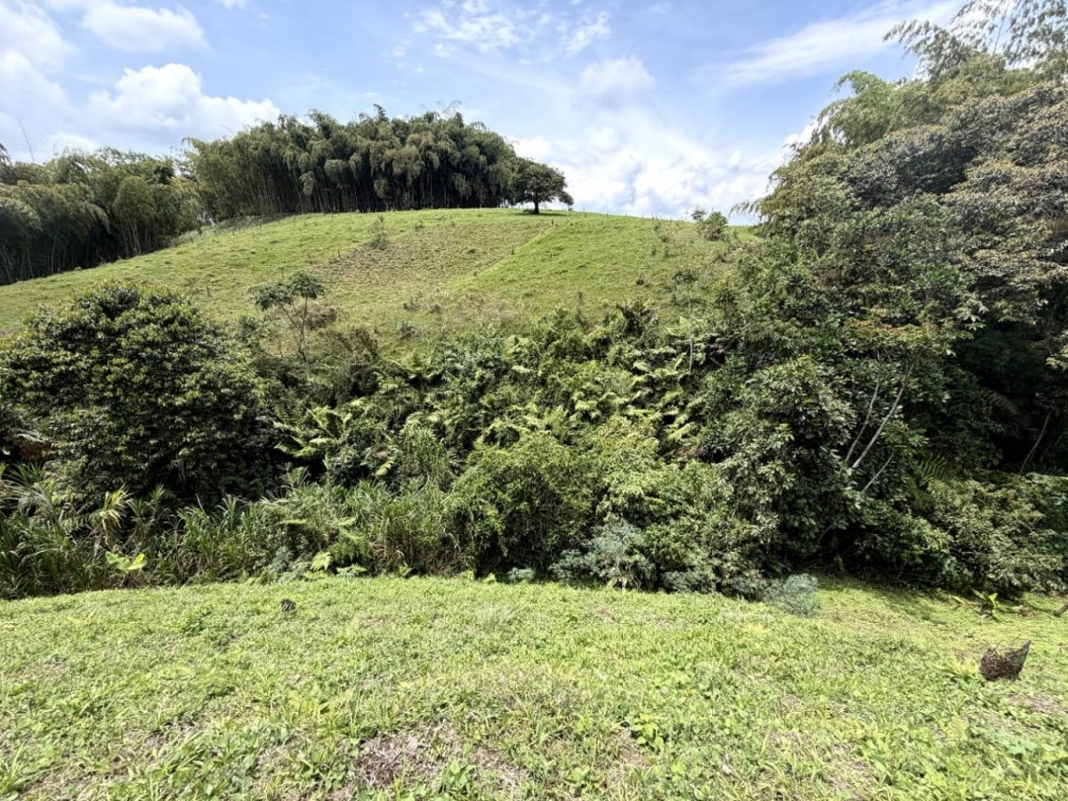 Lote en Venta - Vereda Condina, 6640,0 m² (foto 2) — CREBI
