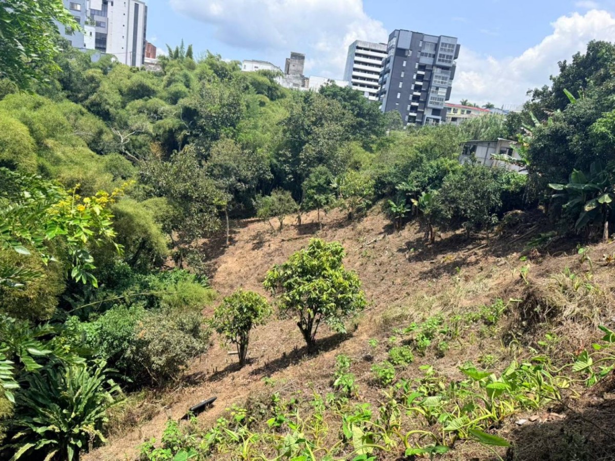 Lote en Venta - Jardin I, 5273,0 m² (foto 15) — CREBI