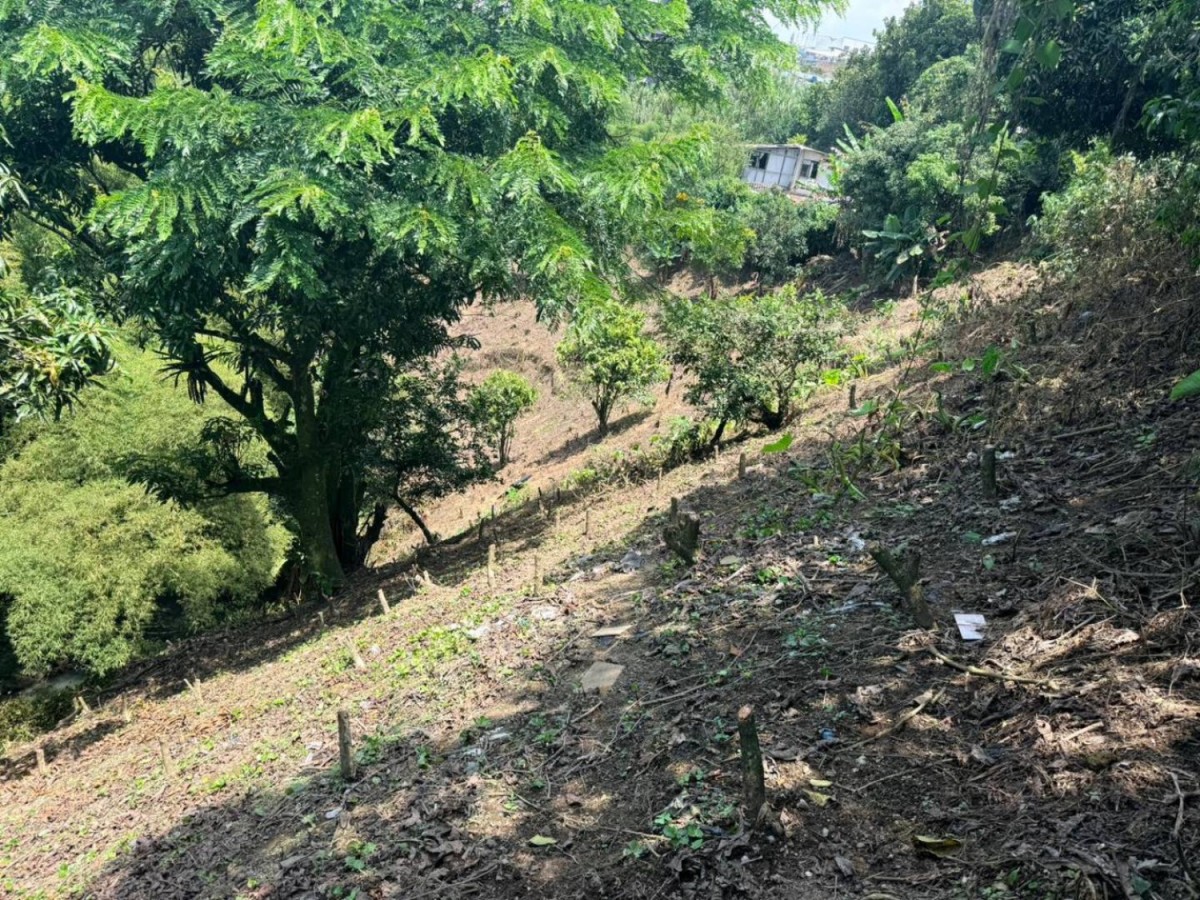 Lote en Venta - Jardin I, 5273,0 m² (foto 16) — CREBI