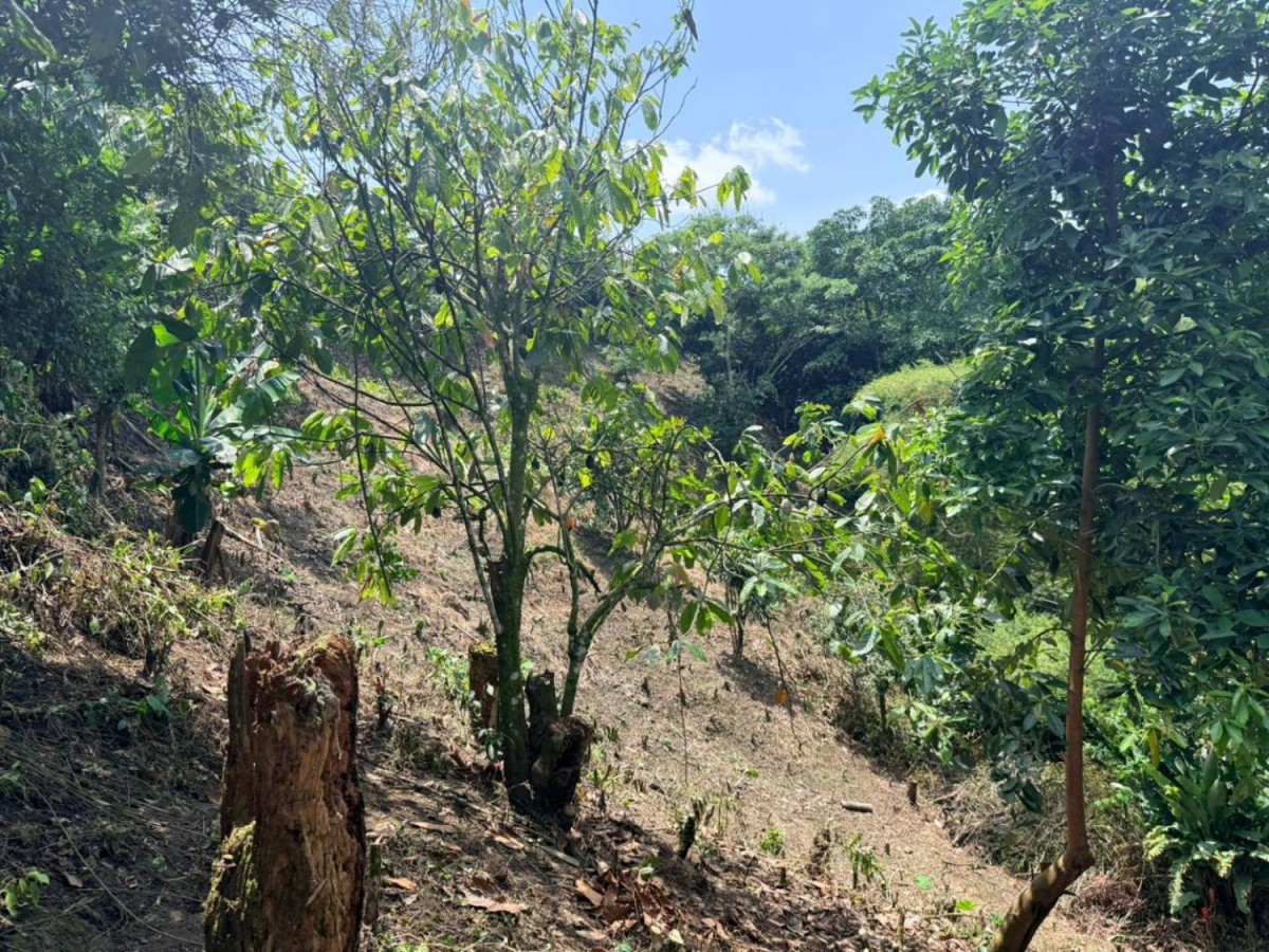 Lote en Venta - Jardin I, 5273,0 m² (foto 17) — CREBI