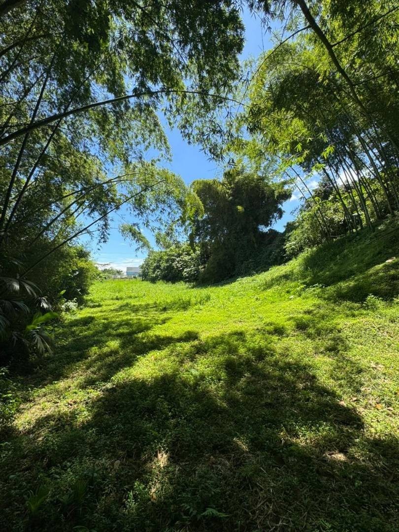 Lote en Arriendo - Variante Romelia - El Pollo, 1900,0 m² (foto 2) — CREBI