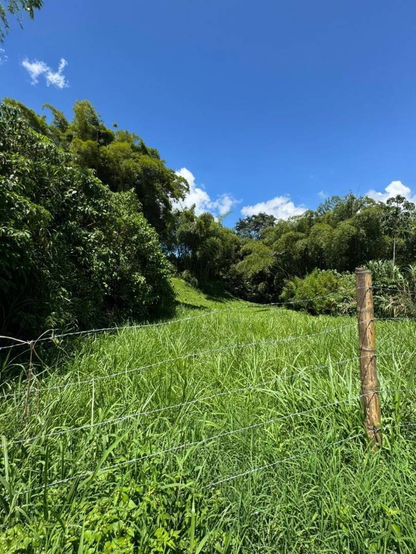 Lote en Arriendo - Variante Romelia - El Pollo, 1900,0 m² (foto 3) — CREBI