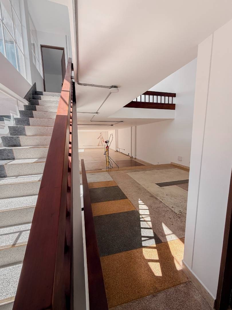 Local en Venta - San Jose, Calle 12, 379,0 m² (foto 5) — CREBI