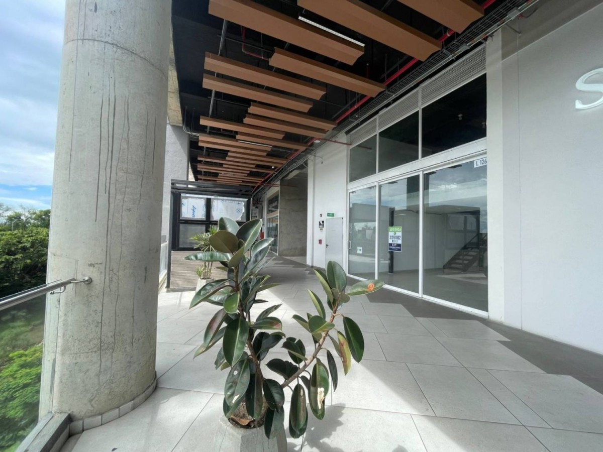 Local en Arriendo - Cerritos Mall, 44,002 m² (foto 3) — CREBI