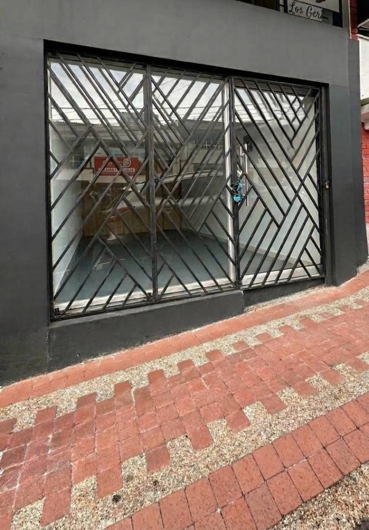 Local en Arriendo - Carrera 13, San Jose, 15,002 m² (foto 2) — CREBI