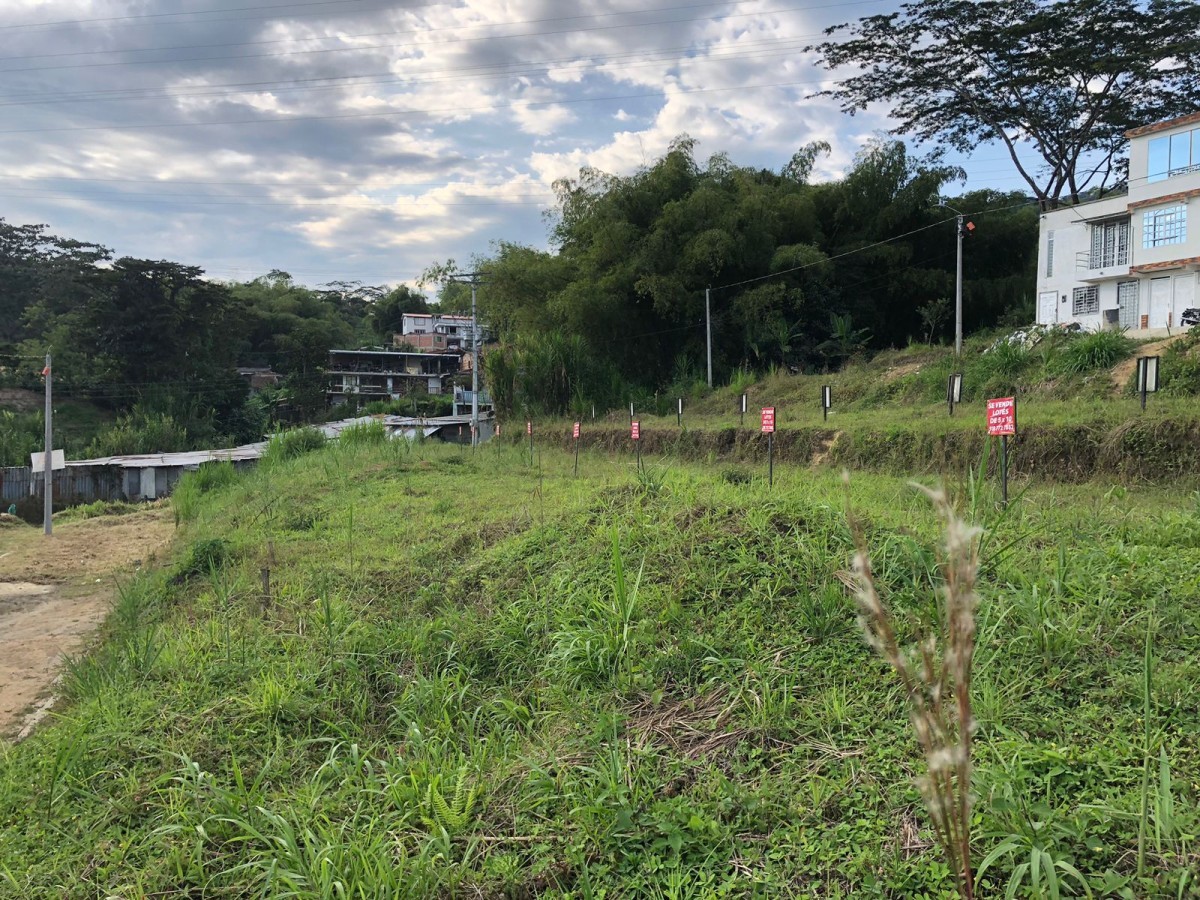 Lote en Venta - Colinas del Bosque, AMCO, Area Metropolitana Centro Occidente, Risaralda, RAP Eje Cafetero, 661002, Colombia, 40,002 m² — CREBI